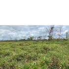 Finca Las Cruces, La Libertad, Peten