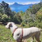 Lago Atitlan
