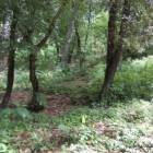 Se RENTA  Finca en Suchitepequez. EXCELENTE UBICACI&Oacute;N,
