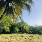 Terreno en Venta en Livingston Izabal