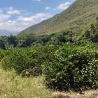 FINCA EN VENTA EN EL PROGRESO