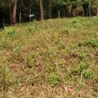 Terreno en Venta Los Amates Izabal, Guatemala