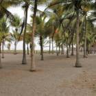 Terreno frente al mar con chalet en venta Playa Tulate