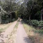 Se vende Finca en Acatenango Chimaltenango