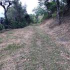 Vendo Finca para Caf&eacute; y Aguacate en Acatenango Chimaltenango