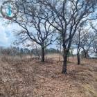 Terreno Comercial en Venta, Jalapa, Cabecera
