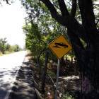 Terreno Sobre Carretera Taxisco hacia Ferry Santa Rosa