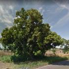 Terreno en alquiler KM 235 Aldea Las Palmas Coatepeque