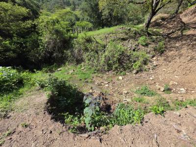 FINCA DE 43.7 MANZANAS EN VENTA EN HUEHUETENANGO