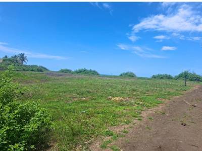Amplio Terreno Residencial en Venta, Monterrico