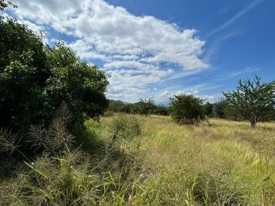 Terreno en Alquiler / Venta Ruta al Atl&aacute;ntico, Km. 116