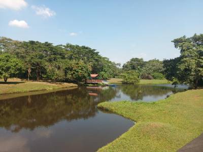 LOTE EN VENTA EN LA CA&Ntilde;ADA DE TORREMOLINOS, ESCUINTLA