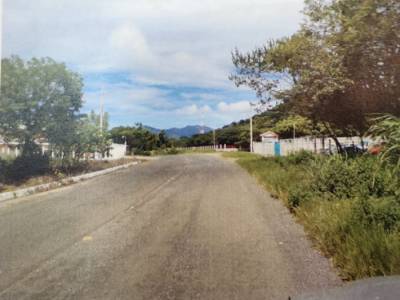 Terreno en Renta para Desarrollo Comercial  sobre CA-1