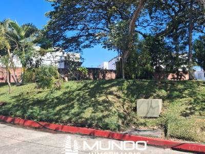 CASA EN RENTA O VENTA EN ALAMEDAS DE VILLA FLORES
