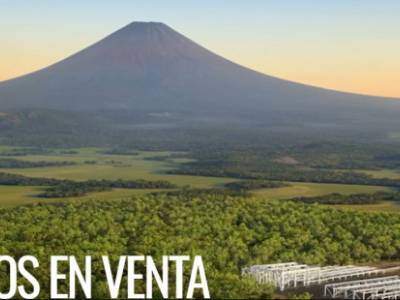 Terreno Industrial en venta de 4 Manzanas en Escuintla