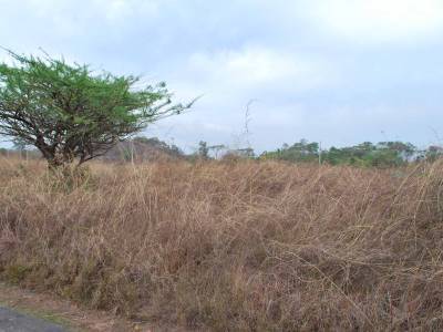 Terreno en venta en Puerto Quetzal