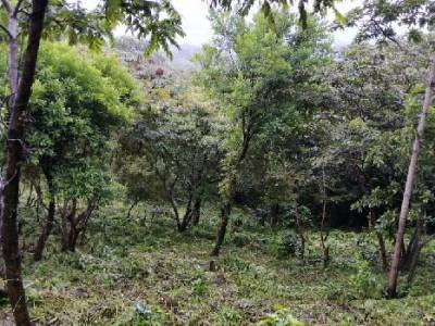 TERRENO A LA VENTA EN CLUB DE GOLF EN ALOTENANGO