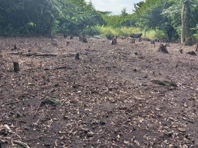 Terreno en Venta Lagunas de Torremolinos Escuintla