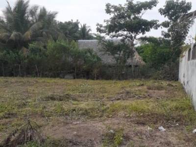 BONITO TERRENO EN VENTA EN EL PAREDEON