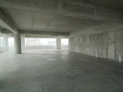 Oficina de 3,348 mts Sobre la Avenida Reforma zona 9