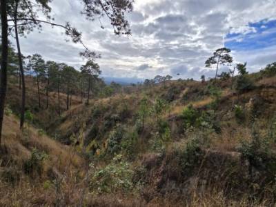 Terreno en Venta San Pedro Sacatep&eacute;quez, Guatemala