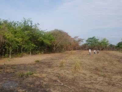 TERRENO COMERCIAL EN VENTA