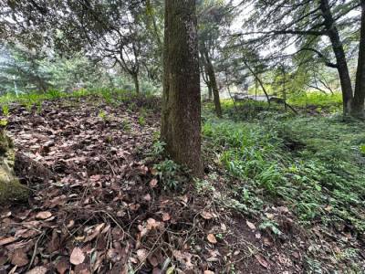 Terreno Residencial en Venta – Santa Lucia Milpas Altas