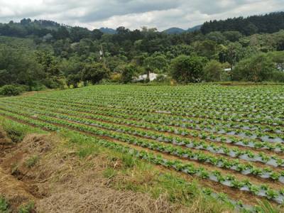 Venta de Terreno Rustico en Sacatep&eacute;quez