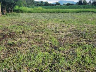 Terreno en Renta Camino a Jutiapa