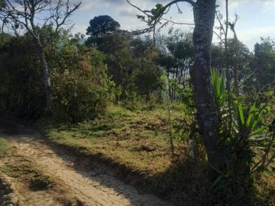 Vendo Terreno ruta a Santiago Sact.  Finca Chiximoy