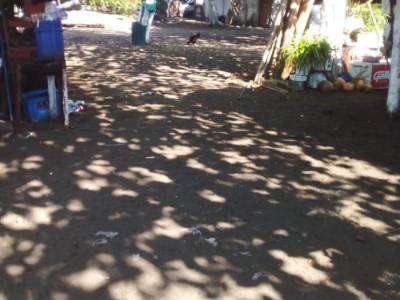 Terreno en renta en Monterrico con acceso a la playa.