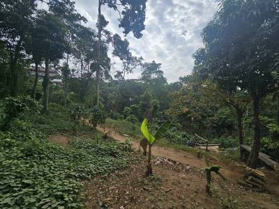 En venta terreno en Candelaria Xolhuitz Retalhuleu