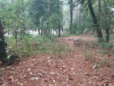 Terreno Comercial en Renta en Carretera Interamericana