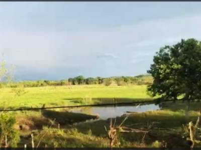 TERRENO EN VENTA EN PETEN