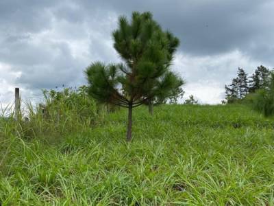Terreno Comercial en renta en km 57, Chimaltenango