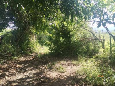 Terreno en Venta para Lotificacion San Pedro Pinula, Ja
