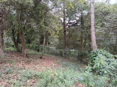 BONITO TERRENO EN VENTA EN SAN LUCAS