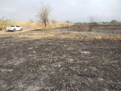 Terreno en Venta en Taxisco Santa Rosa KM 117 Lagunas