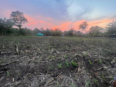 Terreno Agr&iacute;cola en Venta Puerto San Jos&eacute; Parcelamiento