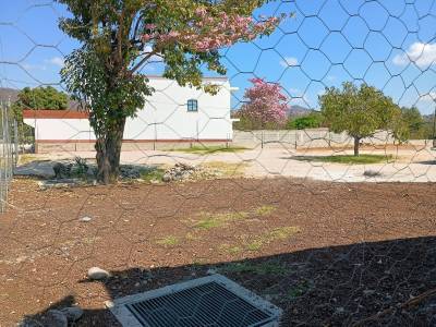 Terreno en Venta y Renta, Monjas Jalapa
