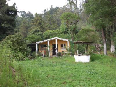 Citymax Antigua Vende Granja en Sumpango