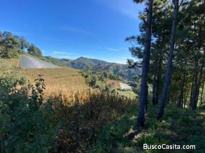 SE VENDE TERRENO DE 5,590 m&sup2; (8,000 varas&sup2;) &mdash; TECP&Aacute;N, CHIMALTENANGO